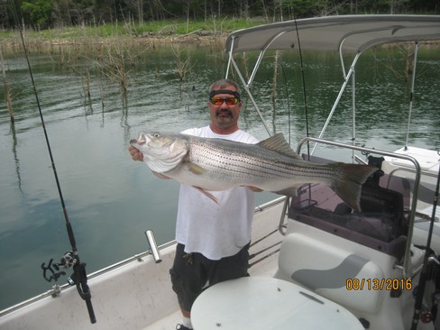 Nice Striped Bass